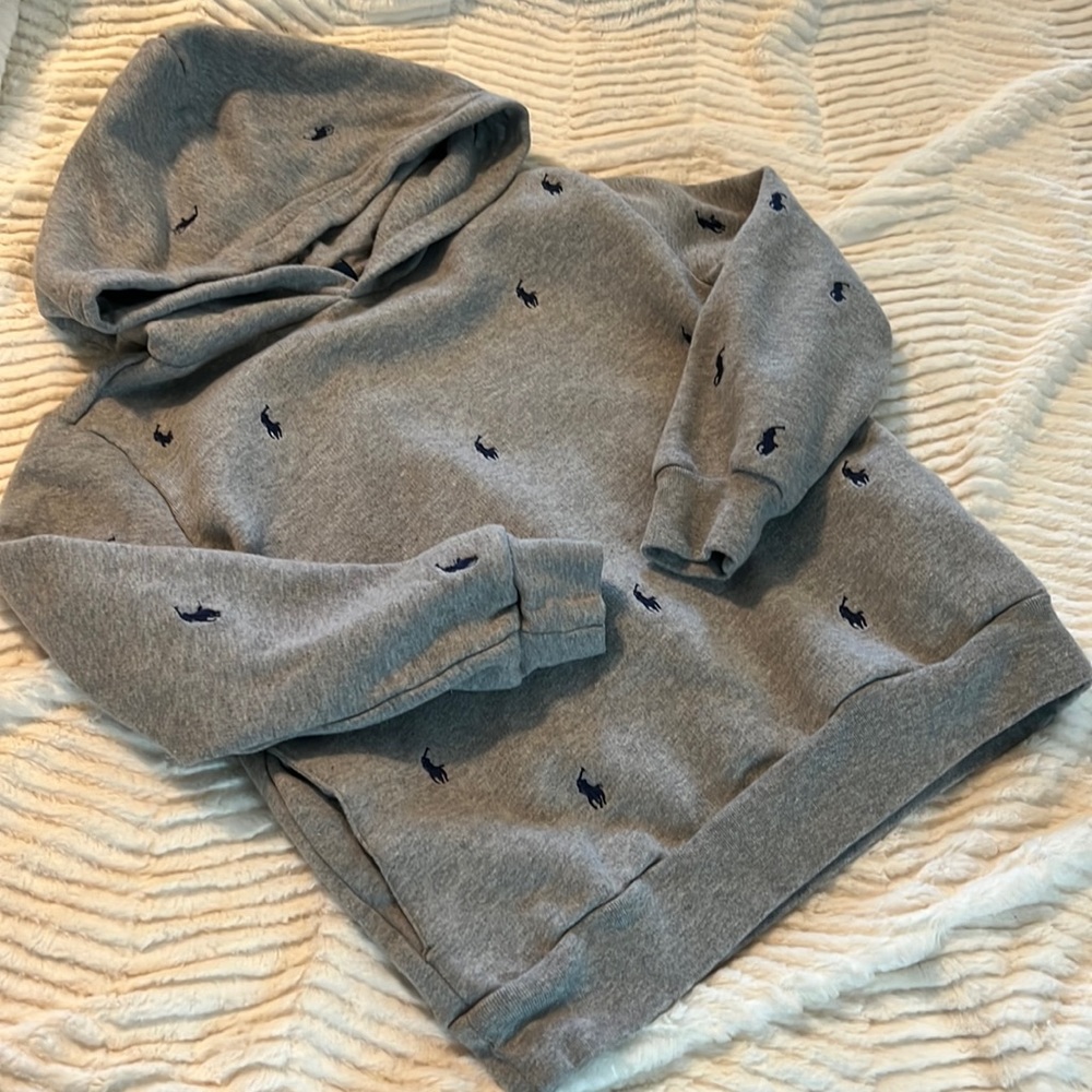 Polo Hoodie